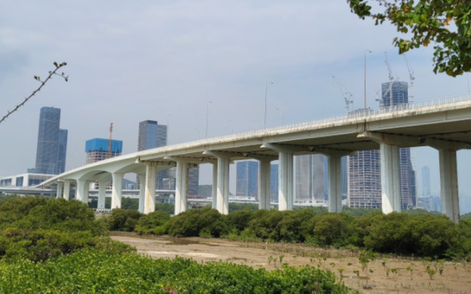 【莲花大桥】横琴口岸～莲花口岸往返随拍(左侧视角)