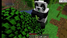 Minecraft 竹林以及大熊猫 哔哩哔哩 つロ干杯 Bilibili