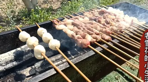 老雪花约亲戚8个人自驾游赏花聚餐,羊肉串、熟筋、田螺吃撑了_哔哩哔哩_bilibili
