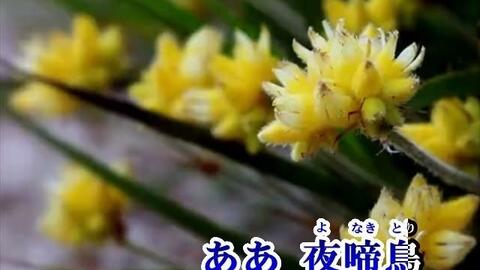 484 2 原唱 夜啼鳥周炫美原唱分享みんなのカラオケ 哔哩哔哩