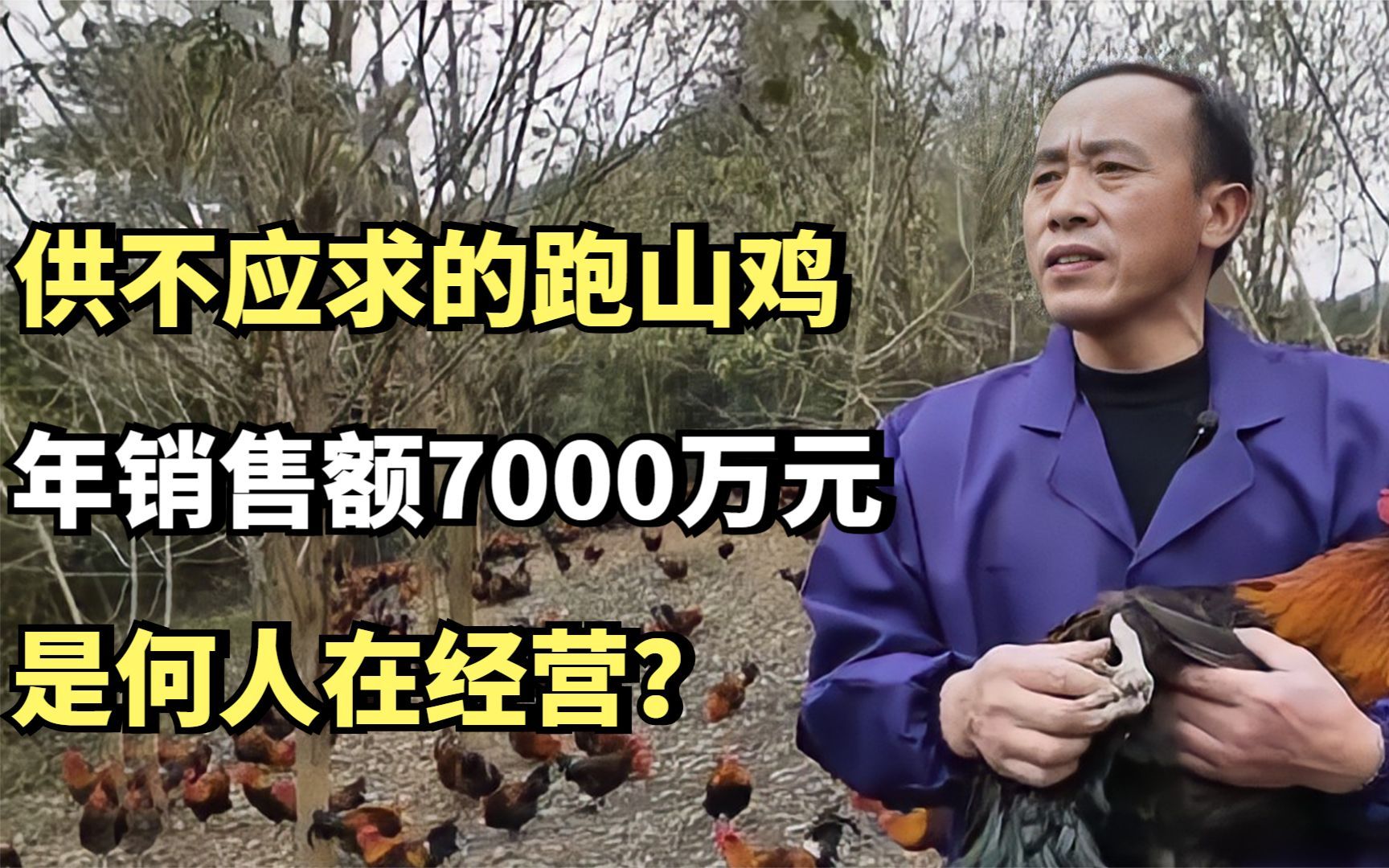 供不应求的跑山鸡,年销售额7000万元,是何人在经营?哔哩哔哩bilibili