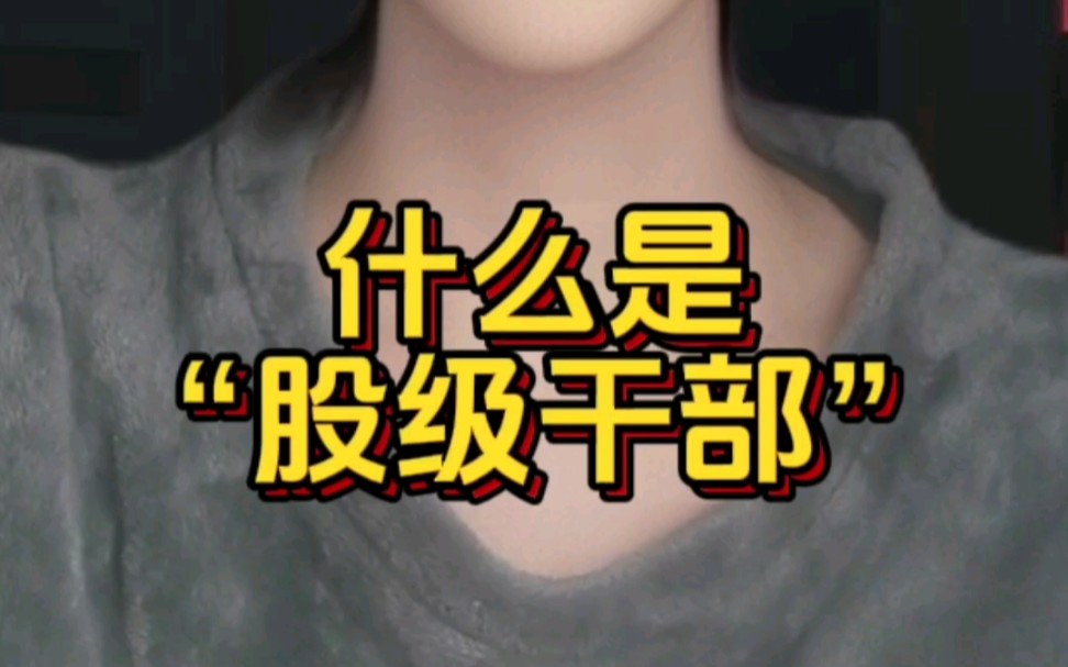 什么是“股级干部”?哔哩哔哩bilibili