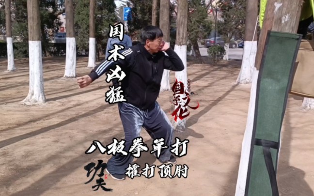 八极拳——“攉打顶肘”哔哩哔哩bilibili