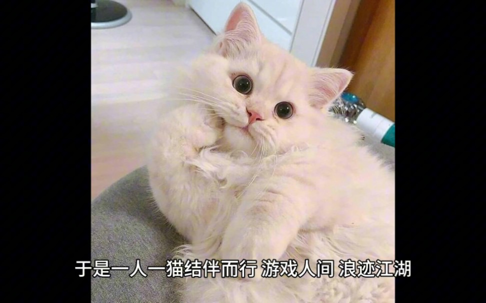 [图]一分钟看《我本无意成仙》看点，萌宠日常 游记 吸猫 仙侠