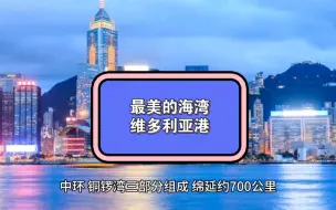 Download Video: 维多利亚港，位于香港岛西部，是连接日夜交替的金融、商业、贸易中心。