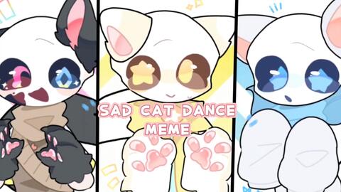 sad cat dance。_哔哩哔哩_bilibili