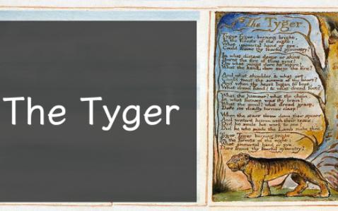 英国文学——威廉布莱克 The Tyger 赏析哔哩哔哩bilibili