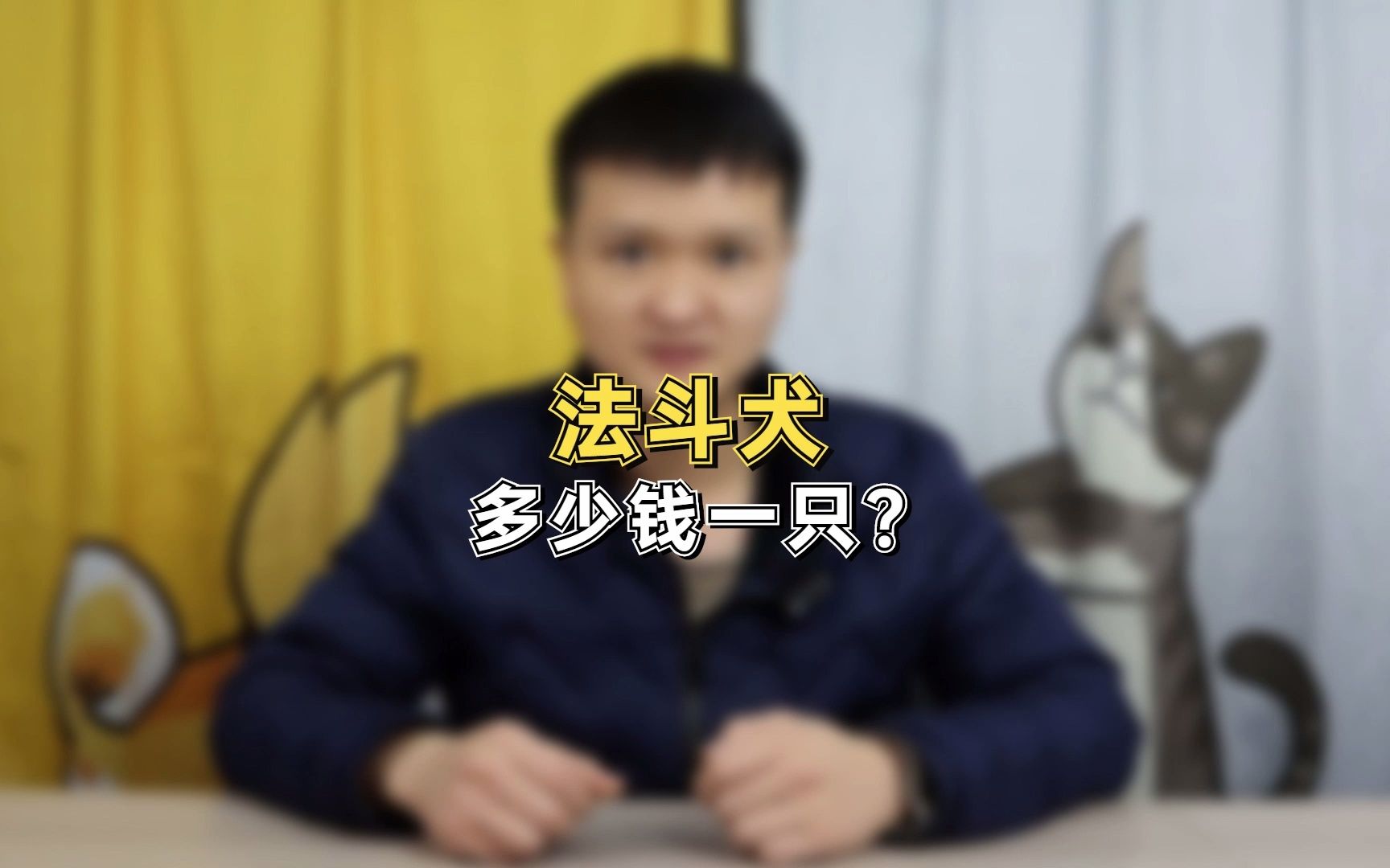 法斗犬多少钱一只?哔哩哔哩bilibili