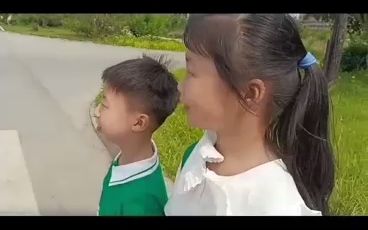 21.小学生安全教育之交通安全哔哩哔哩bilibili