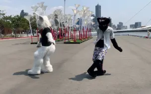 Descargar video: (希弗爾&小黑)ラブポーション 獸裝舞蹈Fursuit Dance