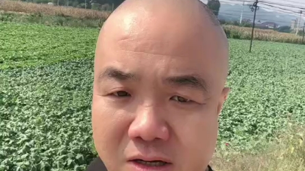 刀哥的好果汁