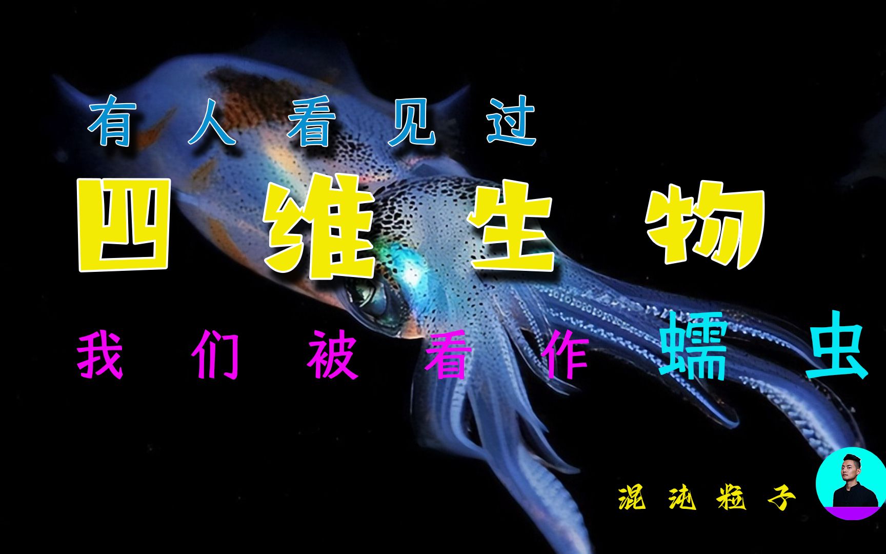 四维生物哔哩哔哩bilibili