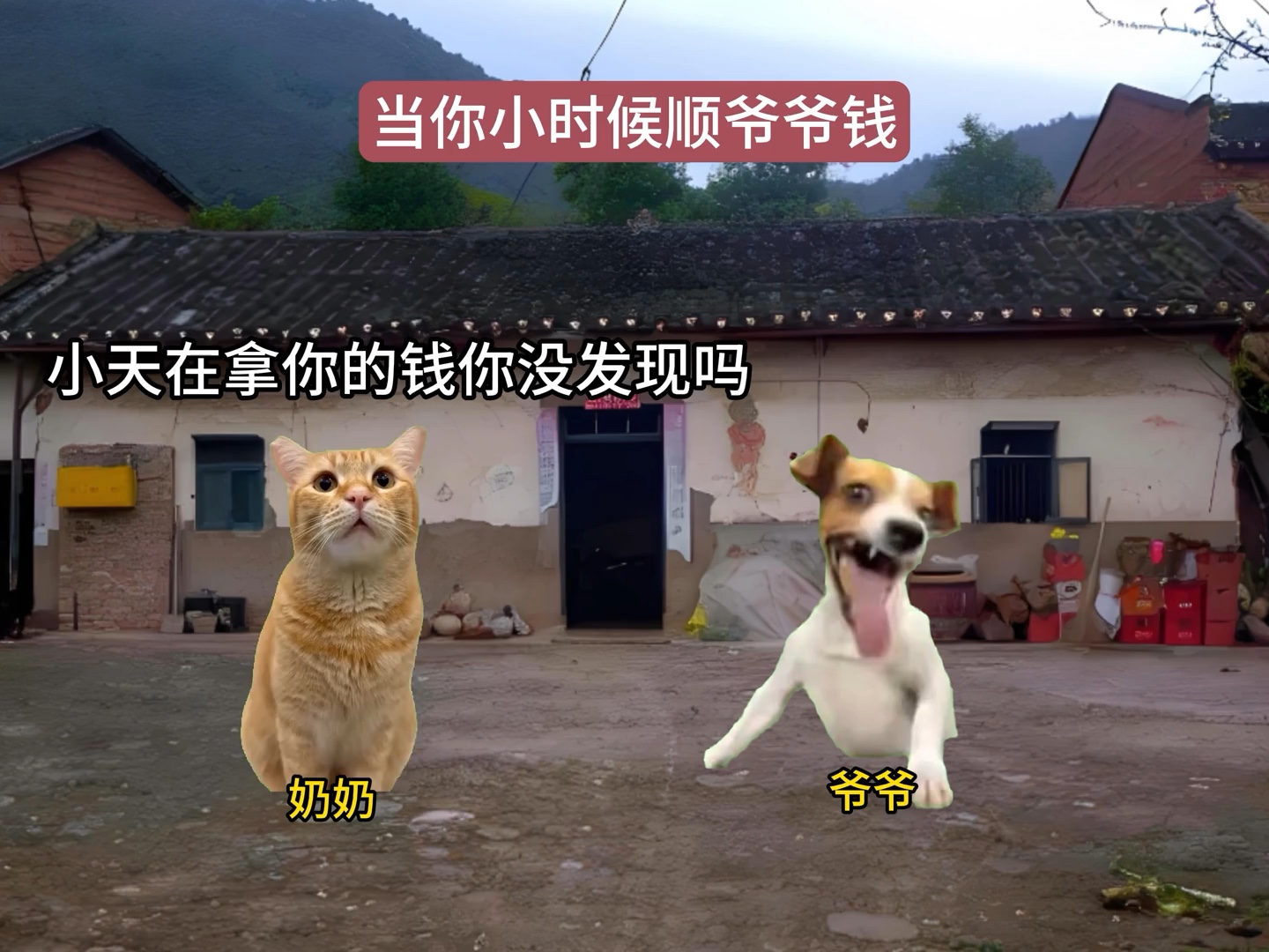 当你小时候顺爷爷钱-猫meme小日记-猫meme小日记-哔哩哔哩视频
