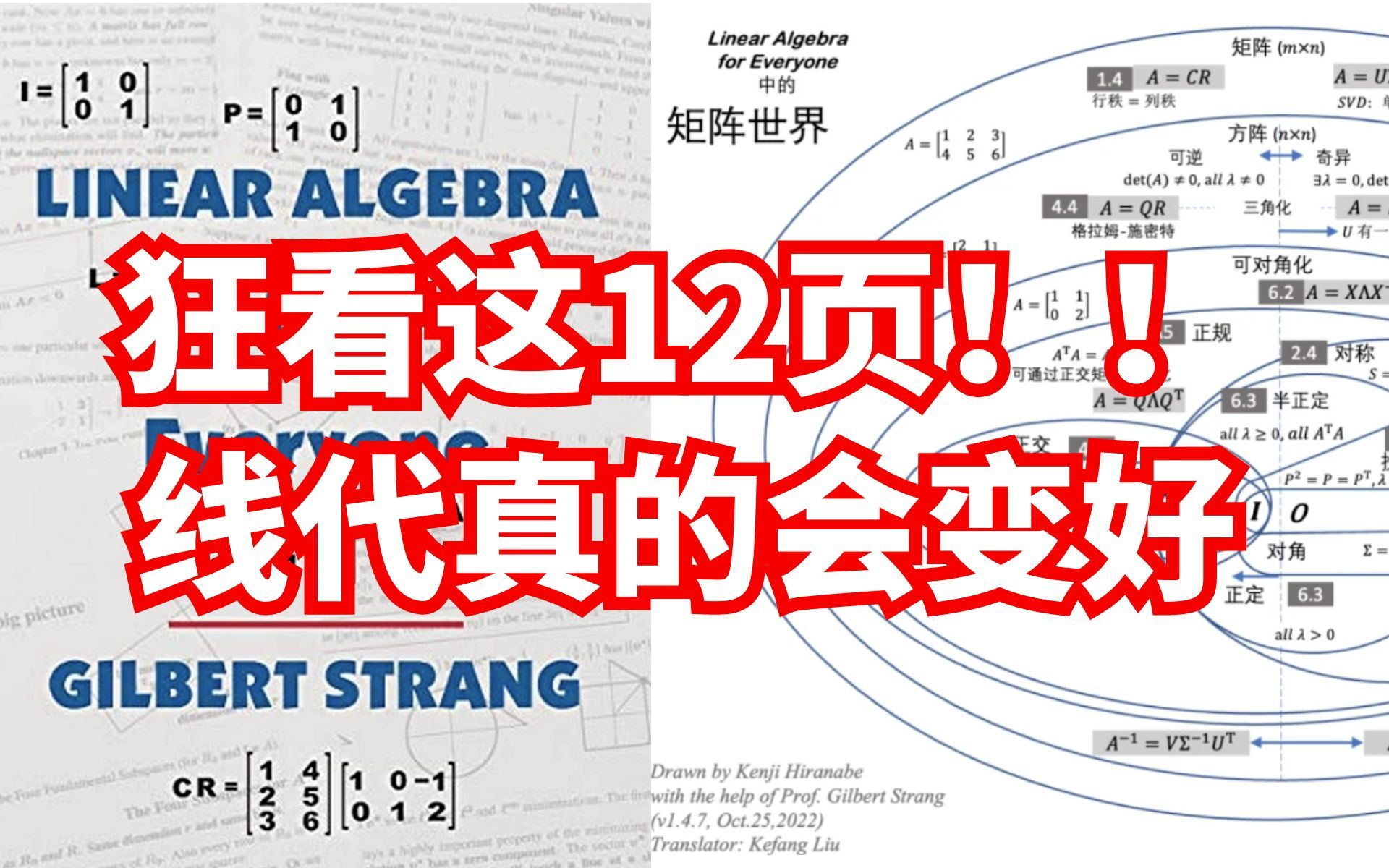 被点醒了!想学好线代一定不能错过的《线性代数可视化手册》,求所有线代不好的把这12页纸翻烂!MIT大神级教授神书哔哩哔哩bilibili