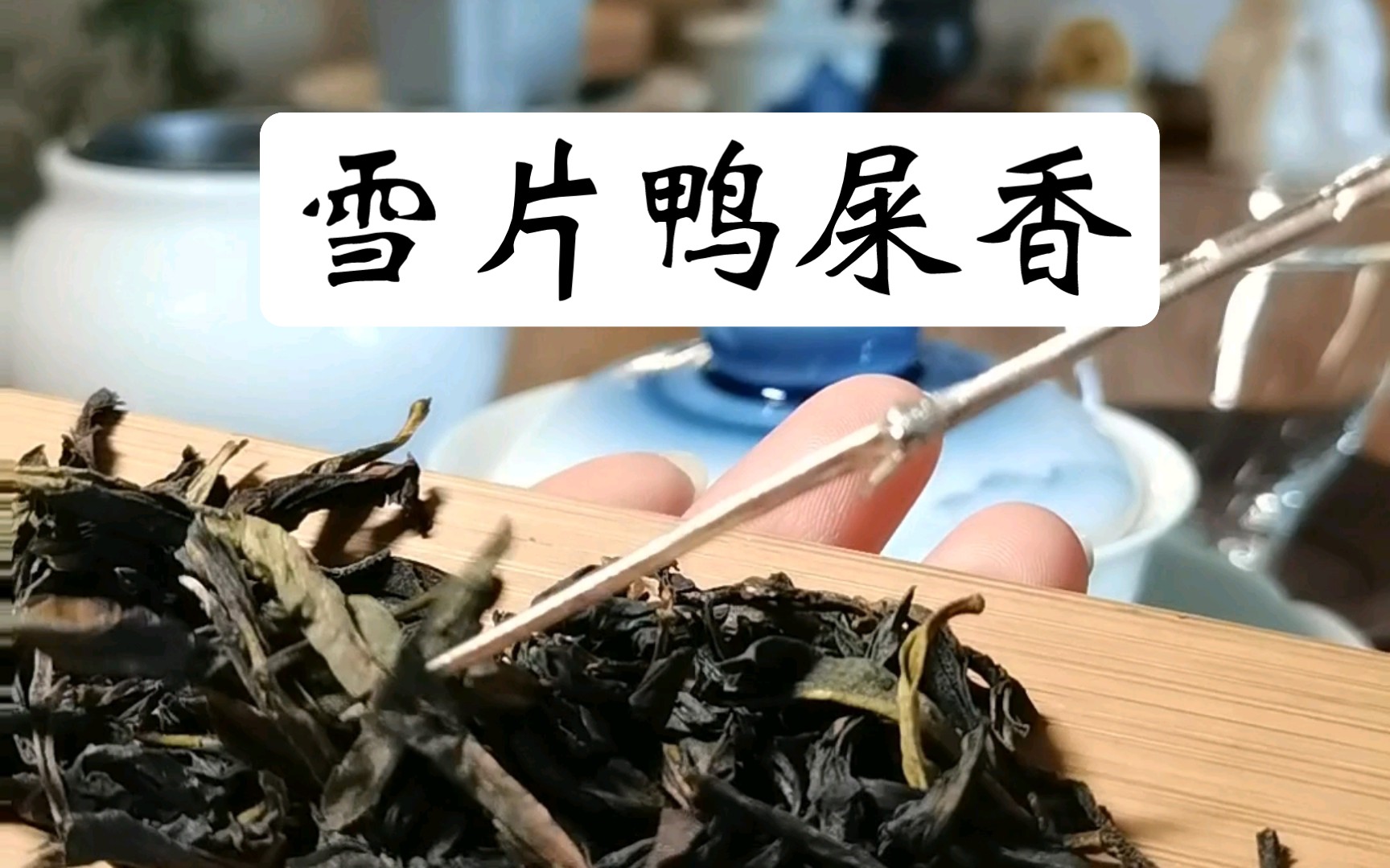 [图]单丛茶真的不适合打小泡装，稀碎的。