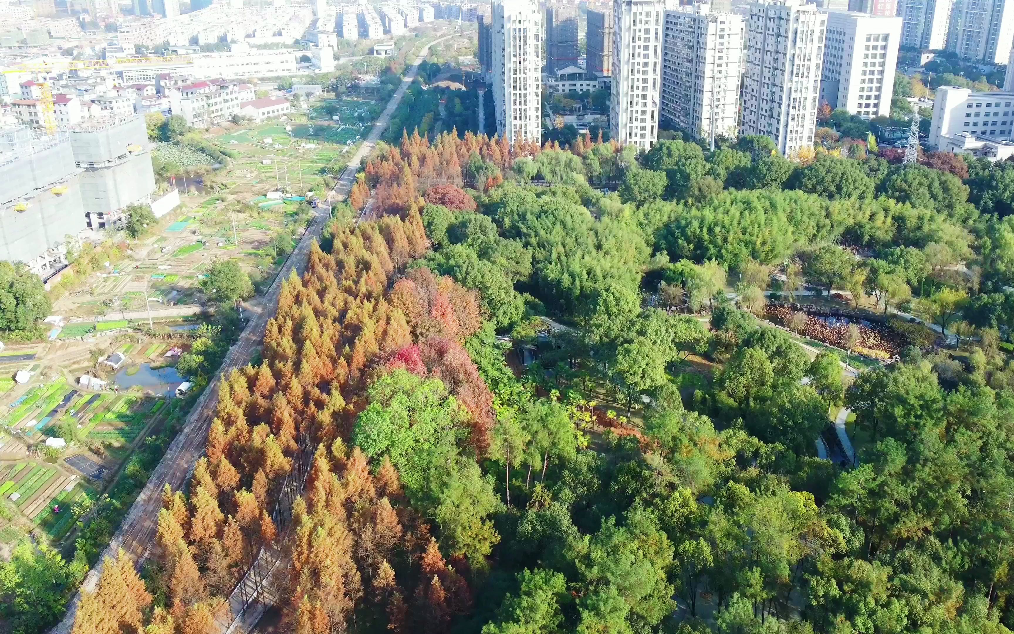 航拍浙江永康香樟公园