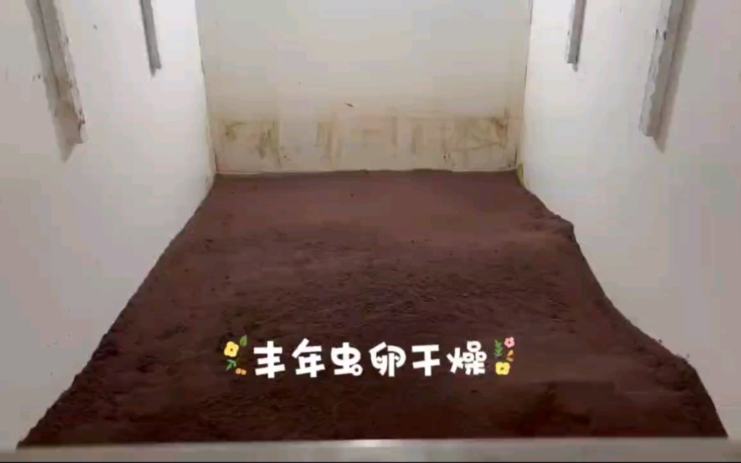 丰年虫卵干燥 解压哔哩哔哩bilibili