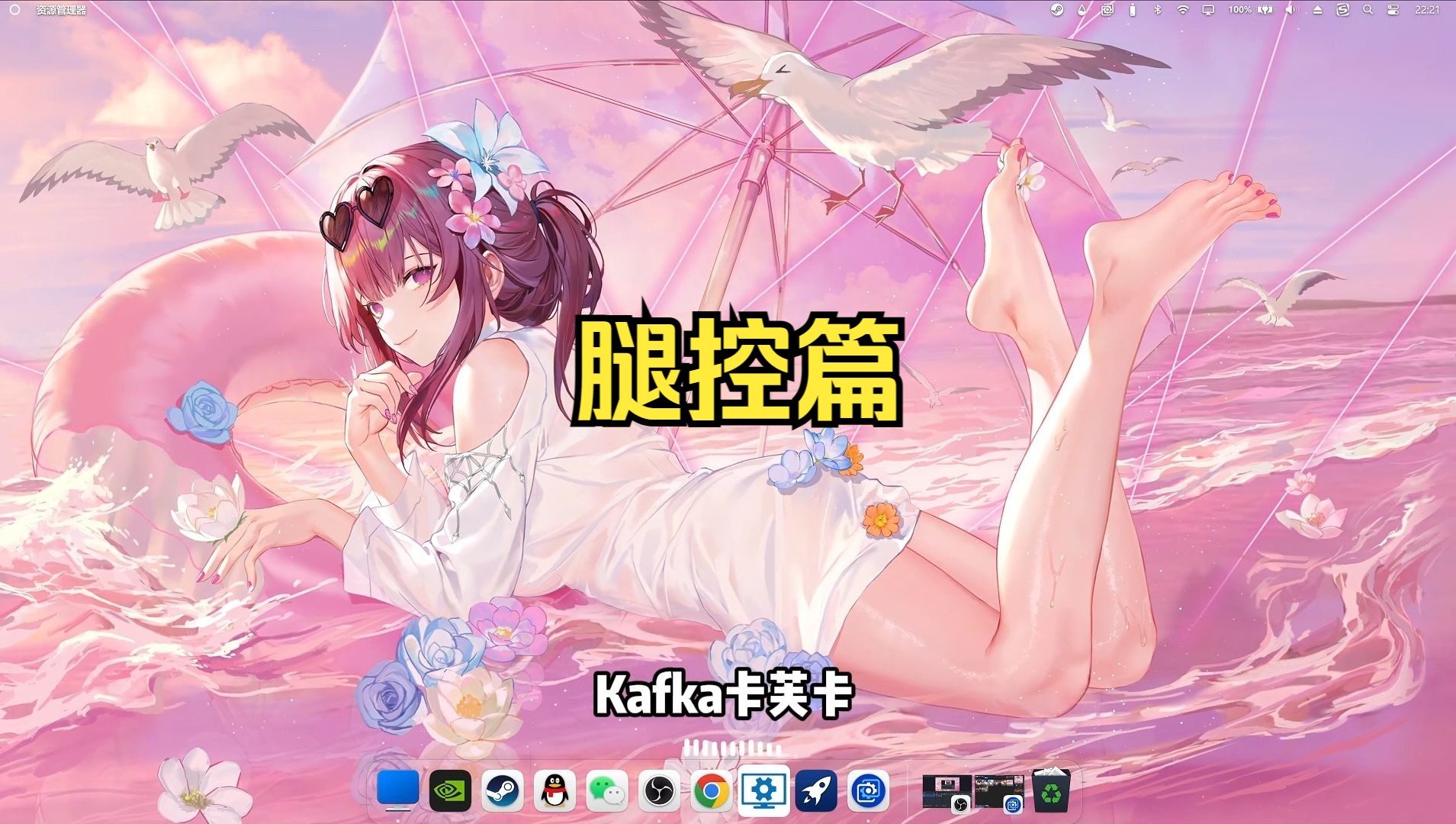 【wallpaper engine】壁纸推荐 腿控篇