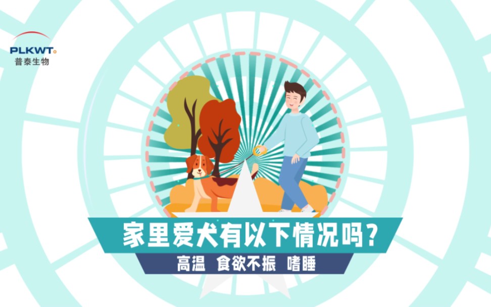 狗狗感染犬瘟热病毒会有哪些症状?使用洛阳普泰生物检测卡,十分钟出结果!哔哩哔哩bilibili