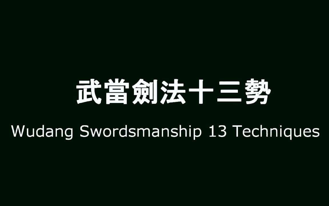 武当十三剑演示图片