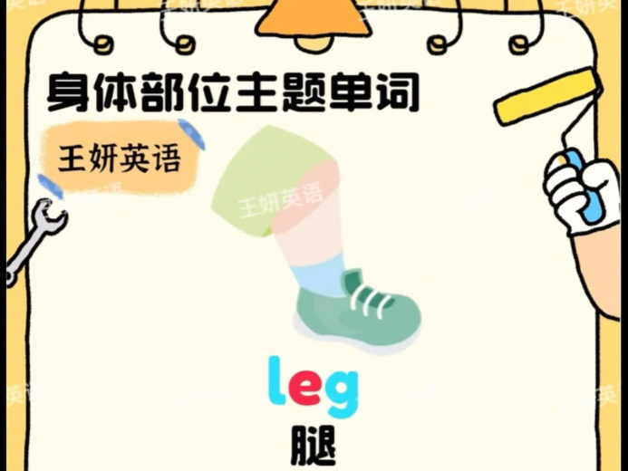 身体部位主题单词之