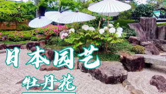 超清日本 漫步东京上野公园冬季的牡丹花 1 哔哩哔哩 Bilibili