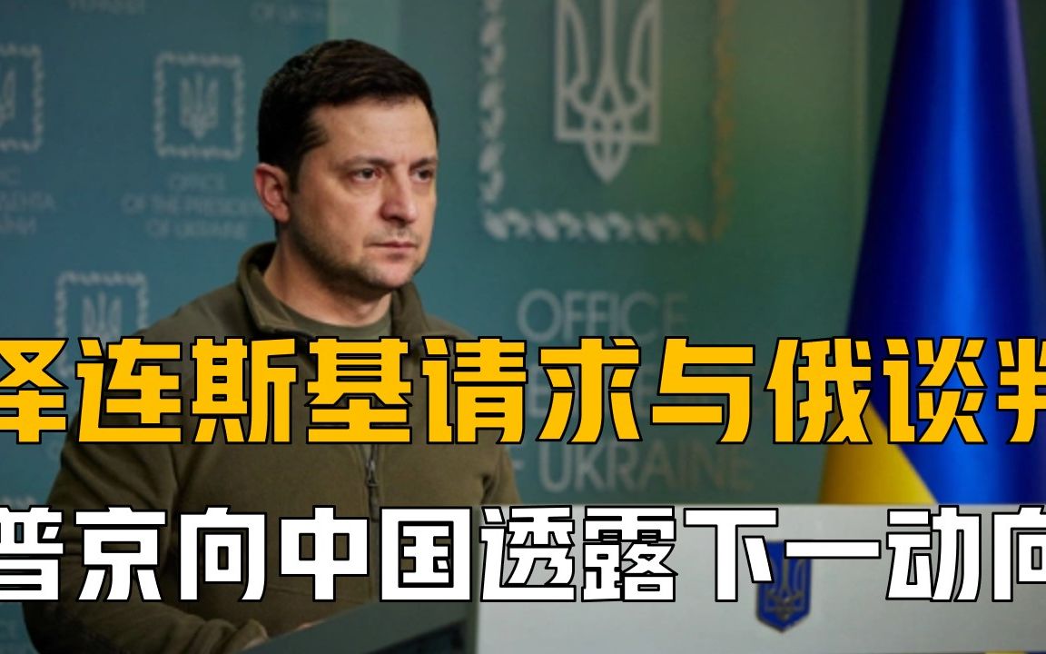 乌克兰还有机会?泽连斯基请求与俄谈判,普京向中国透露下一动向哔哩哔哩bilibili