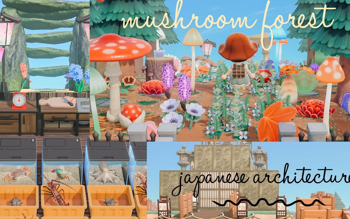 【动森】有用魔法蘑菇森林海鲜市场的日式小岛| Japanese landscaped Magical Mushroom Forest & Fish Market哔哩哔哩bilibili