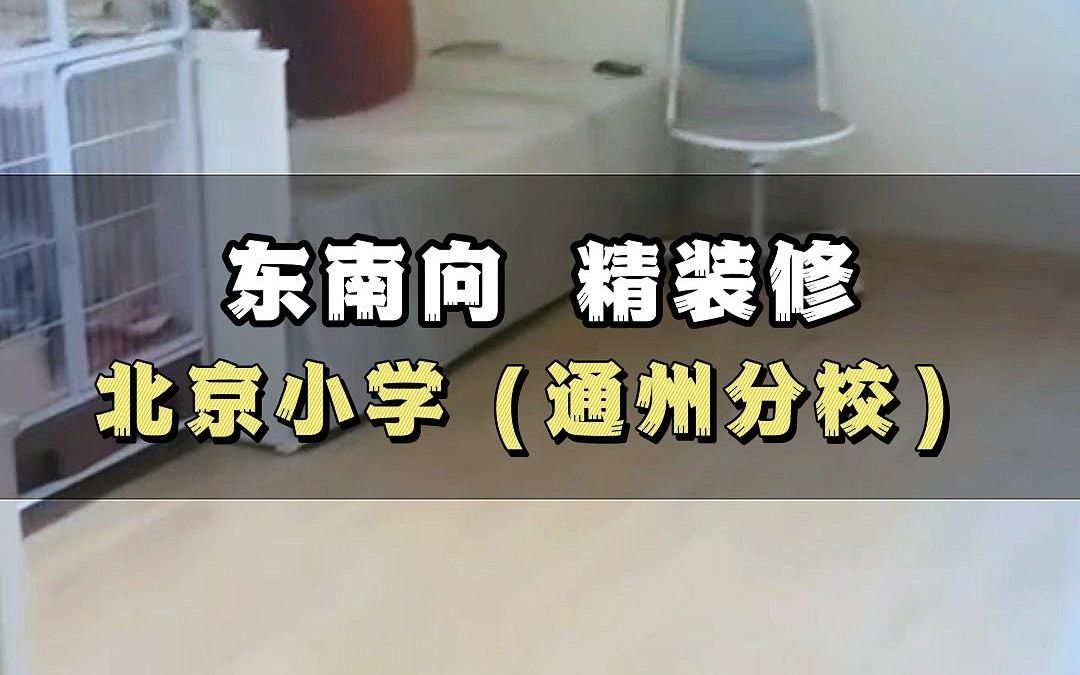 武夷花园【京贸国际城】电梯房 小区环境优美 业主急售哔哩哔哩bilibili