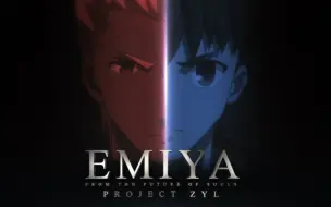 Скачать видео: 【ZYL】FATE-EMIYA