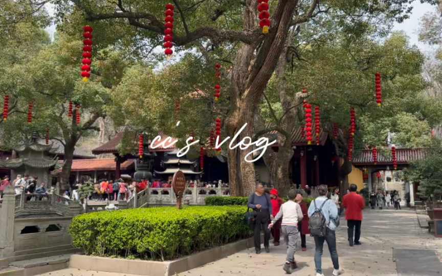 [图]治愈系｜CC's Vlog #2生活碎片日记