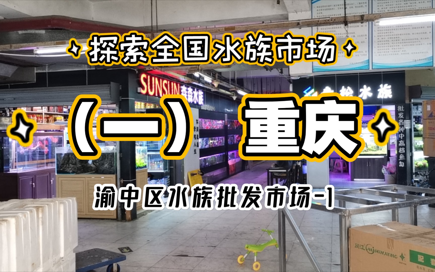 探索全国水族市场 (一)重庆渝中区水族批发市场(上)哔哩哔哩bilibili