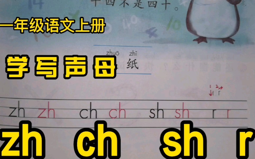 一年级汉语拼音:学写声母zhchshr哔哩哔哩bilibili