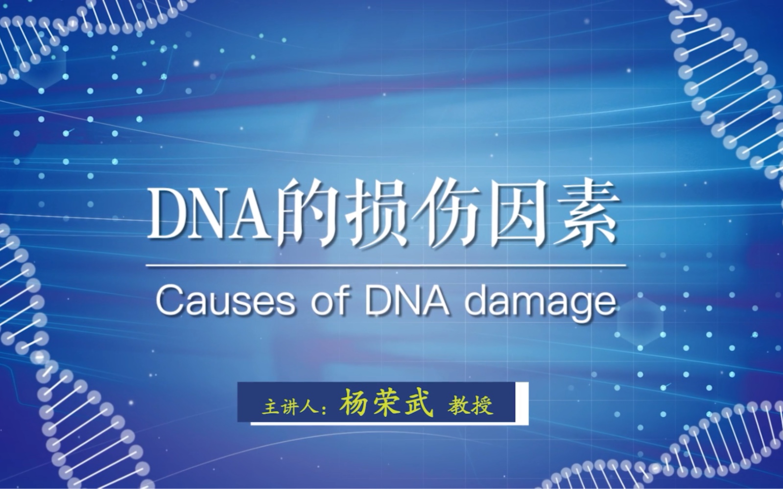 DNA的损伤因素哔哩哔哩bilibili