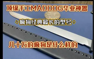 Descargar video: MADDOG KNIVES SAXON 疯狗顶级作品 撒克逊