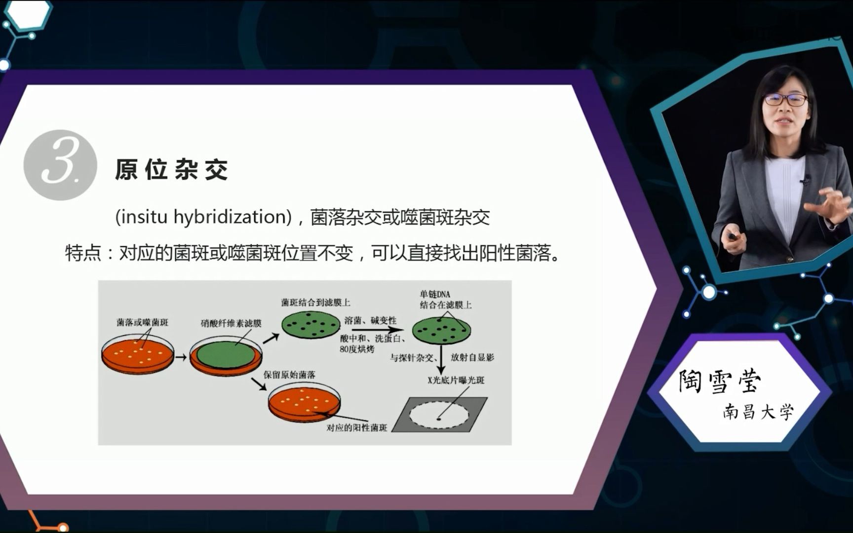 重组子的筛选与鉴定哔哩哔哩bilibili