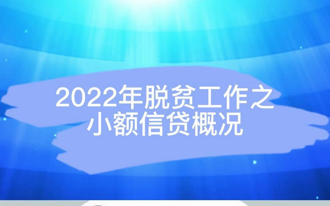 2022年脱贫工作之小额信贷概况哔哩哔哩bilibili