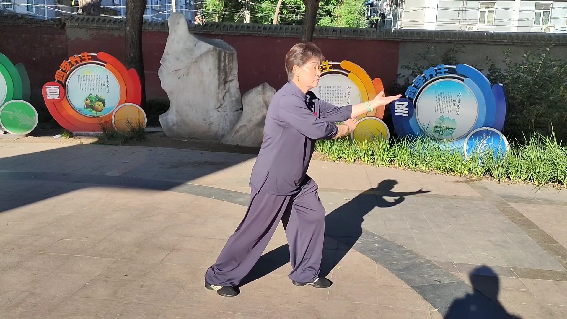 杨氏传统56式太极拳