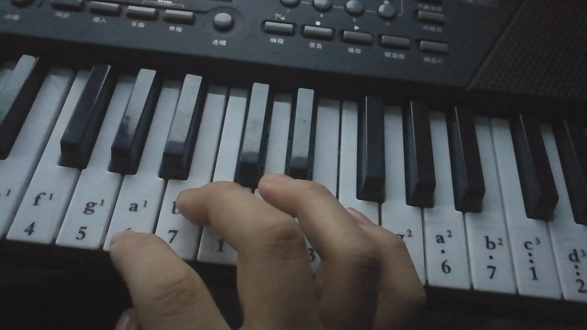 单手电子琴弹奏小马宝莉主题曲