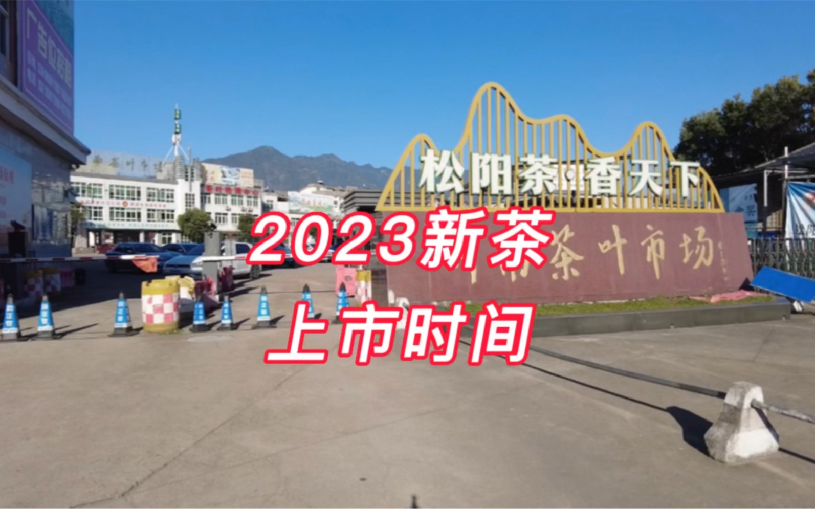 预告:中国最大的绿茶交易市场2023年新茶上市时间哔哩哔哩bilibili