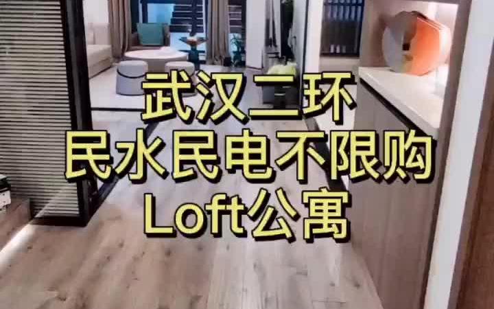 武汉二环民水民电Loft公寓 绝无仅有!哔哩哔哩bilibili