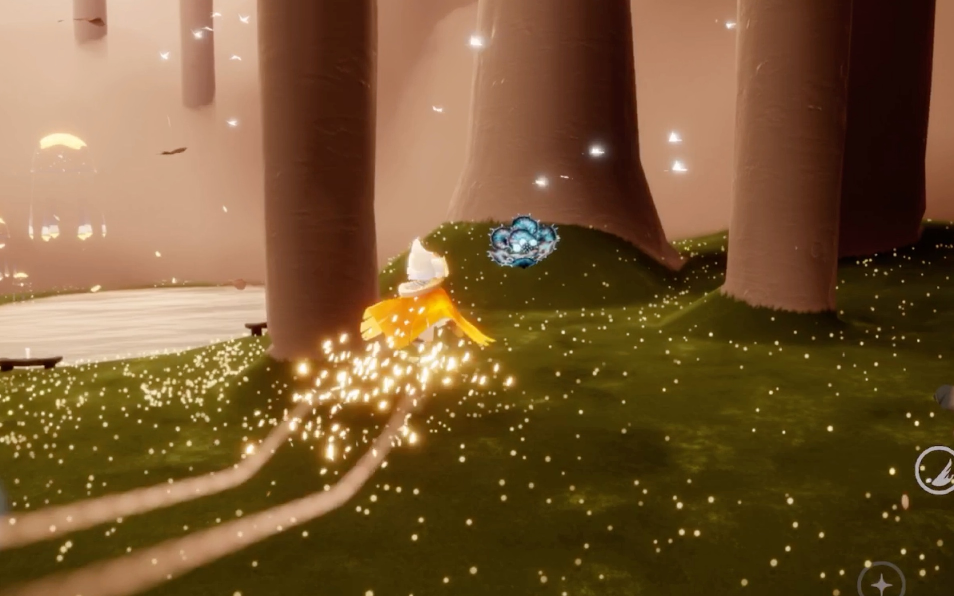 sky 光遇 雨林光翼全收集