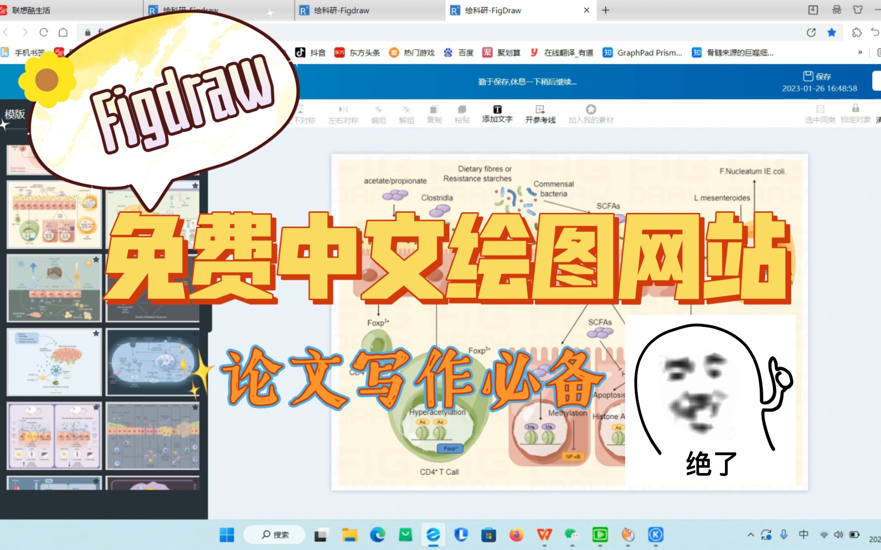 【读研趣谈】Figdraw 免费中文绘图网站 不会R语言 不会AI 像做PPT一样 论文写作必备 师兄师姐都在用哔哩哔哩bilibili