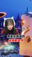 Download Video: 佛系小哥哥的永矮鹿伞鸟！！！