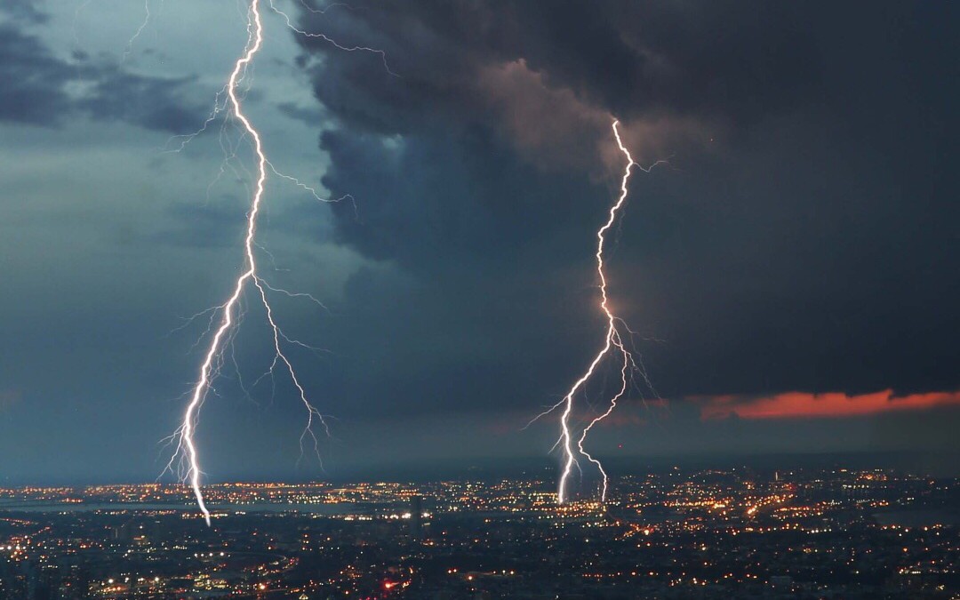 蚂蚁上千只蚂蚁上演世界大战密集恐惧症勿进