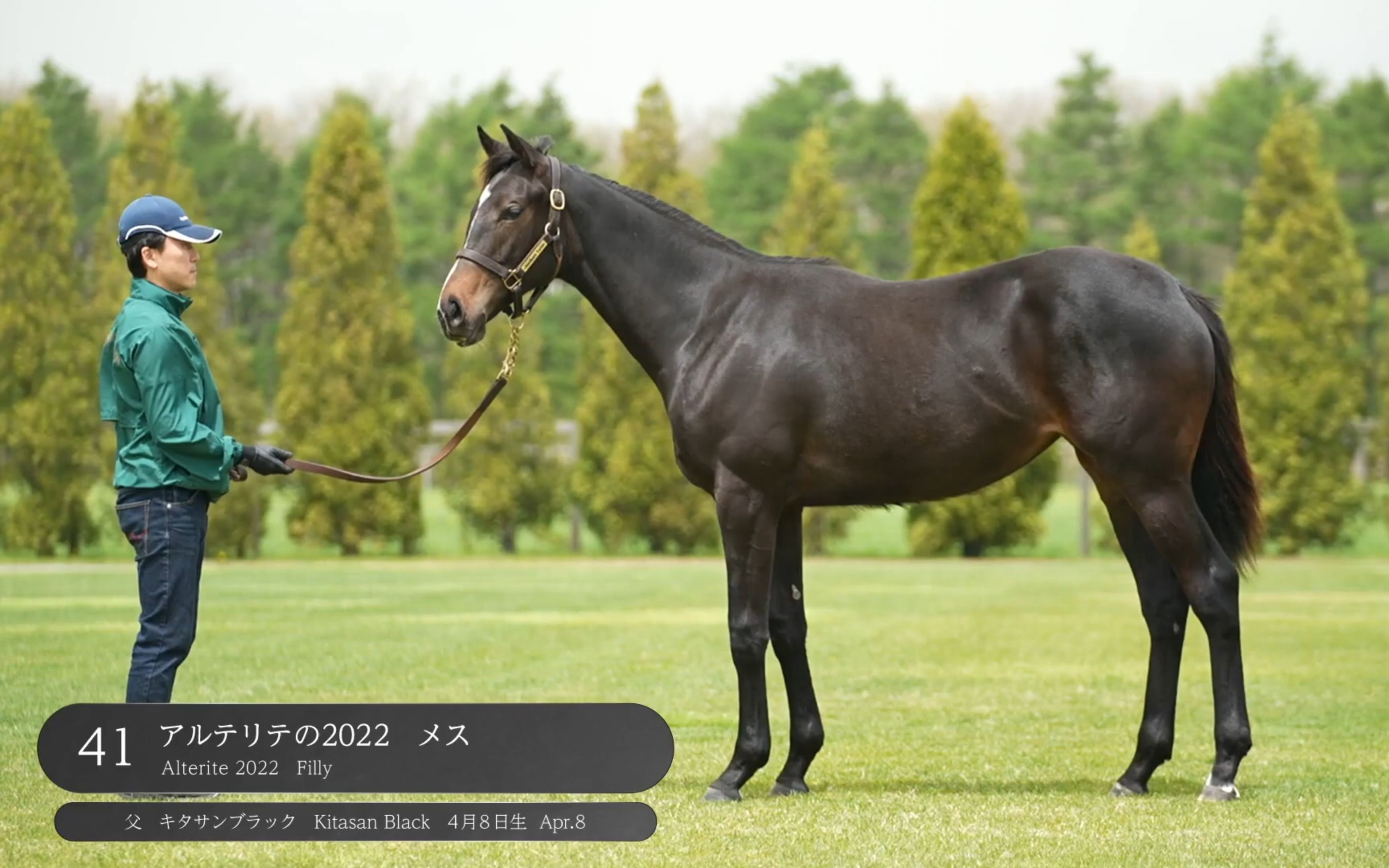 【北部玄驹产驹】41.アルテリテの2022