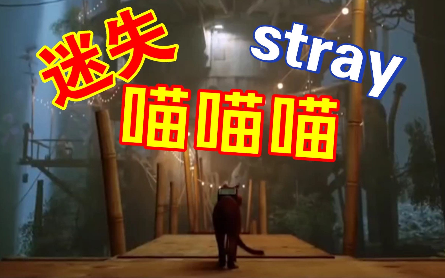 [图]迷失 stray 白嫖免费下载