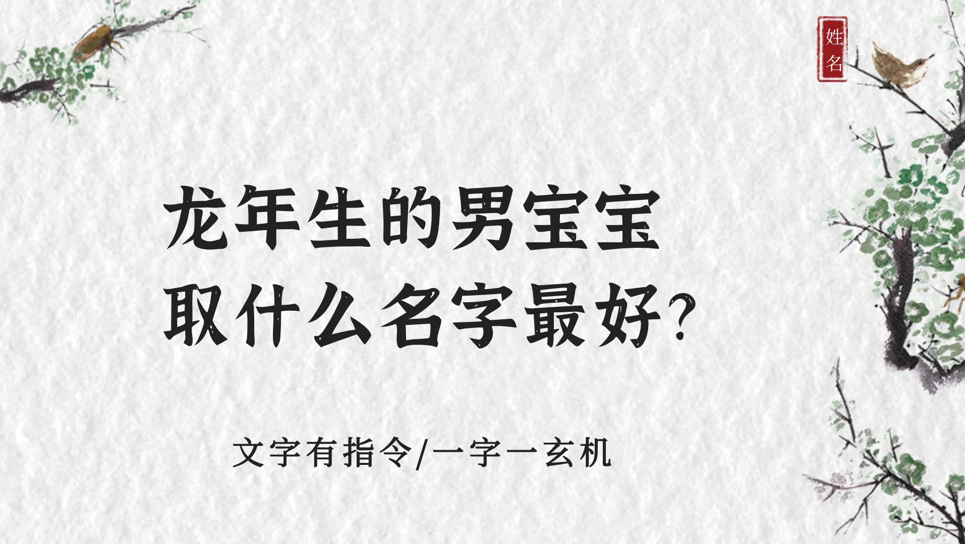 冠全派起名:龙年生的男宝宝取什么名字最好?哔哩哔哩bilibili