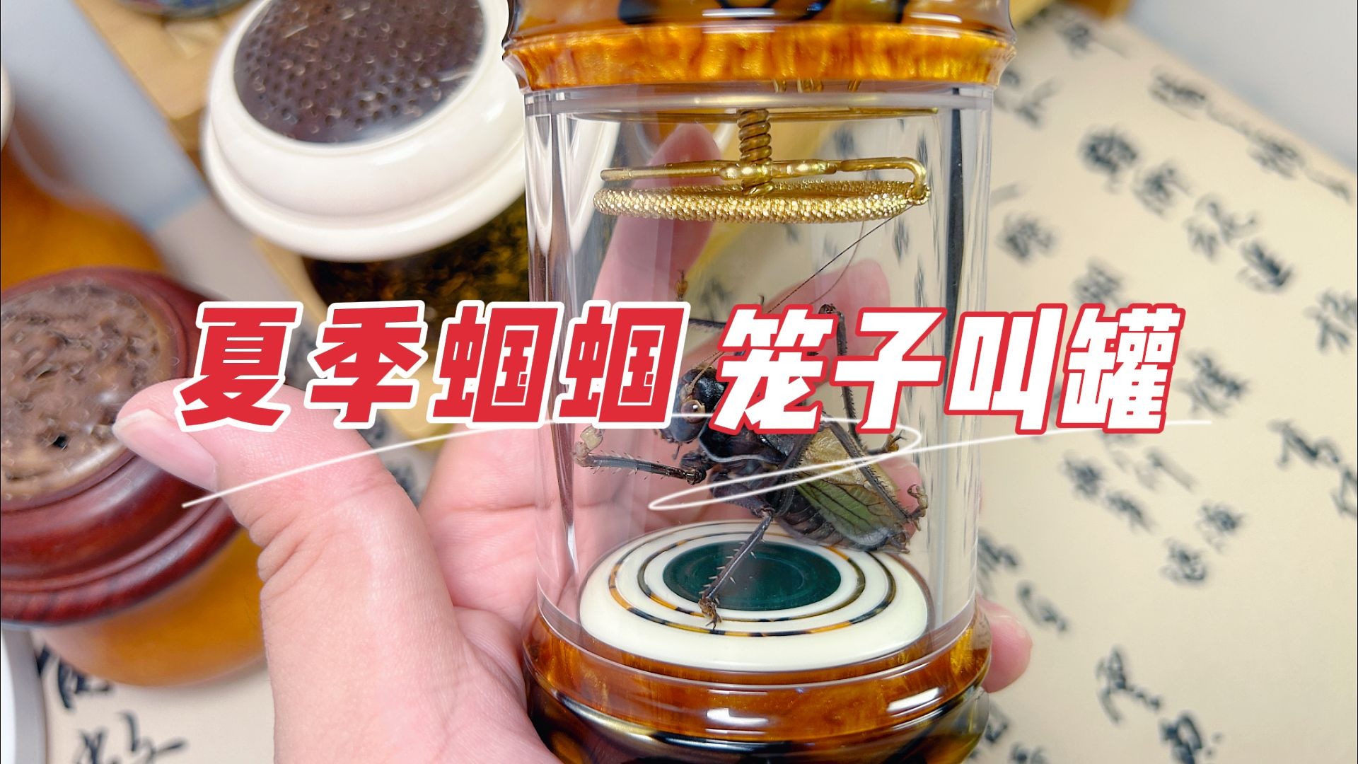 夏天笼子养蝈蝈，叫罐里听鸣叫