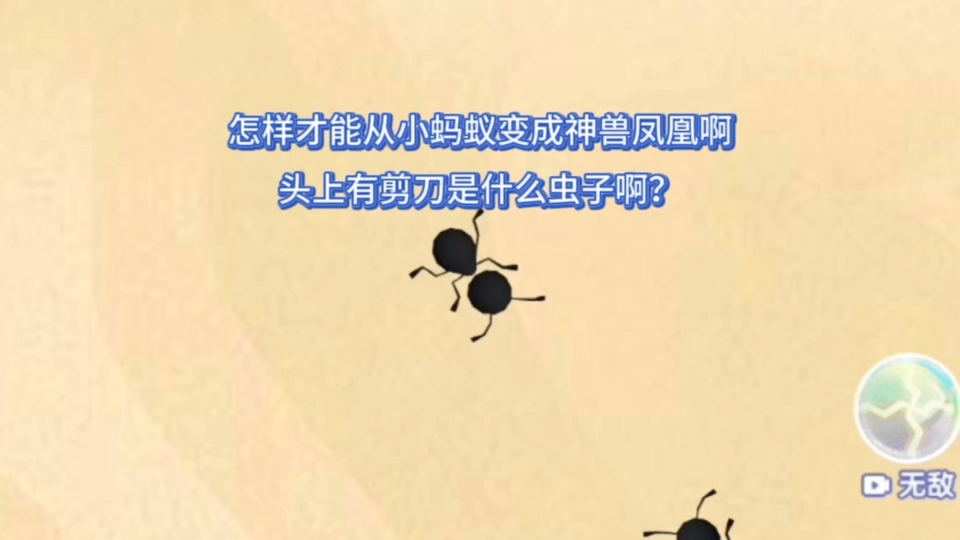 怎样才能从小蚂蚁变成神兽凤凰啊?头上有剪刀的是什么虫子啊?